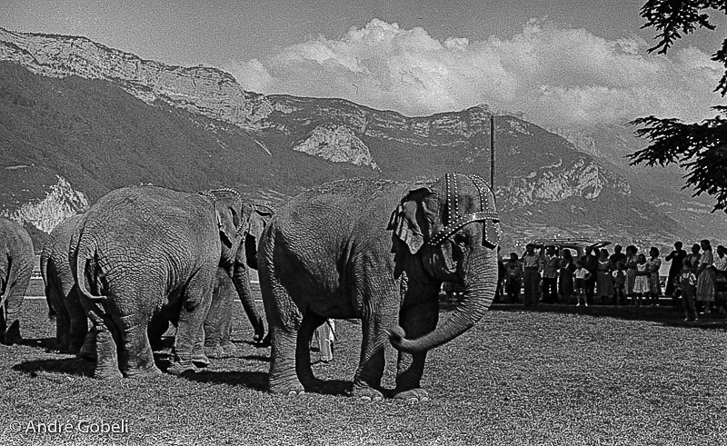 Annecy les années 50