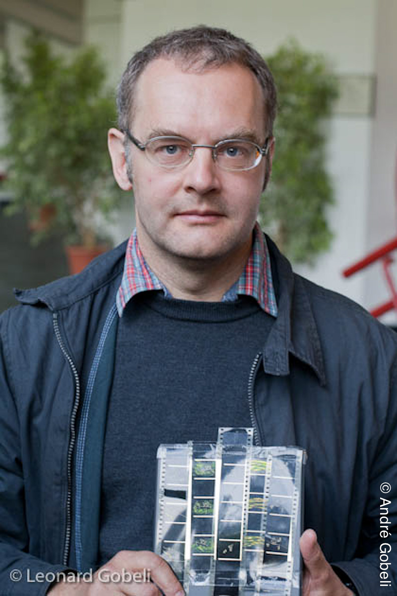 Basil Vogt