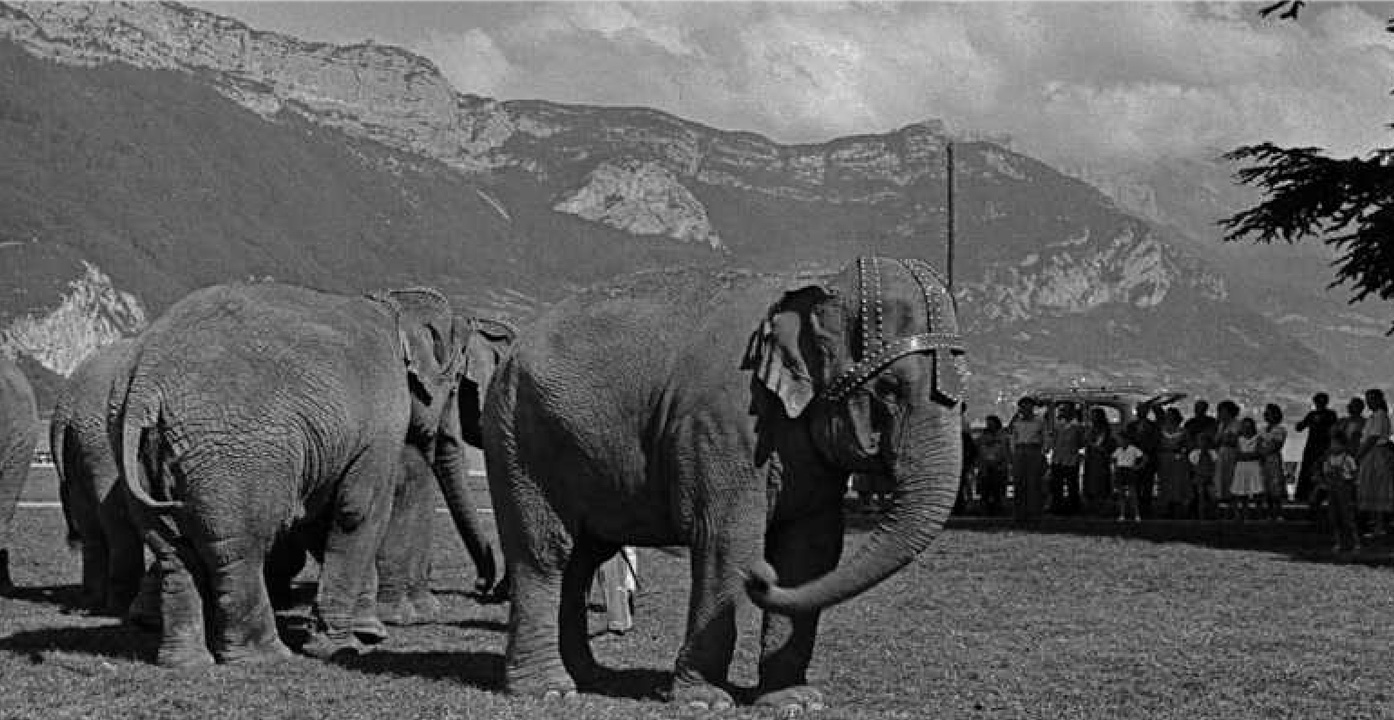 Défilé d'éléphants devant les montagnes d'Annecy, photographie d'archive d'André Gobeli